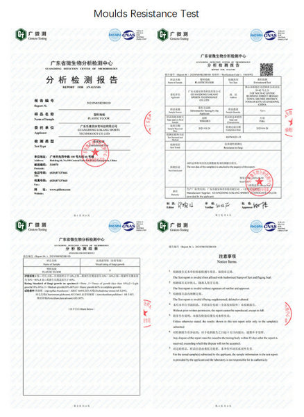 Guangdong Lokang Sports Technology Co., Ltd.