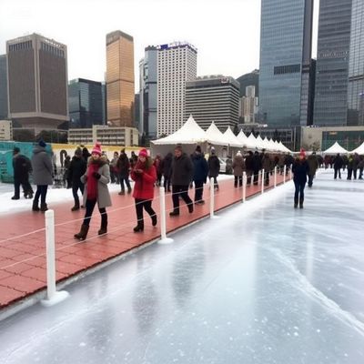 Wearproof Ice Rink Insulated Protection Floor 60mm Length Modern Hockey Protection Flooring