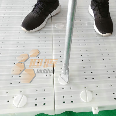 Outdoor PP Material Portable Multi Purpose Pp Plastic Turf Protection Event Flooring