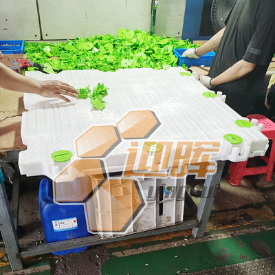 Temporary Modular Plastic Outdoor Event Flooring Removable Banquet Party Tent Flooring